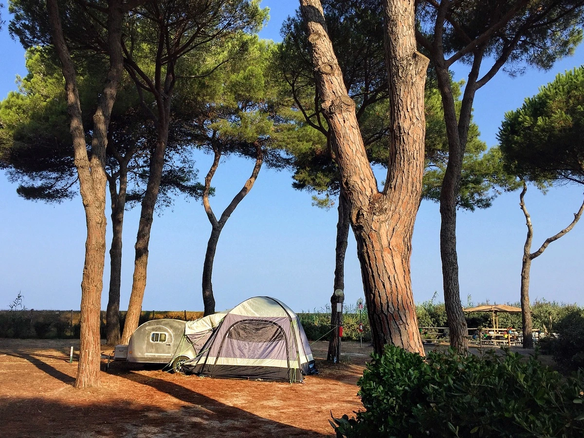 Emplacement de tente sous des pins en Italie